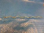 Volvo Penta Marine Diesel TAMD61 Fuel Leakoff Pipe 465863. Fixed Price $50.00.