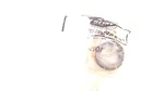 Mercury 31001 Steering Handle Indicator, Speed & Limit. Fixed Price $12.95.
