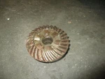Mercury Outboard Quicksilver Lower Unit Gear (43-77562). Fixed Price $60.00.
