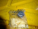 Mercury Quicksilver 22-42861 (1) Pipe Plug Oem New. Fixed Price $5.99.