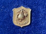 Rare Antique Marine Corps 10K Solid Gold Veteran Service Pin Usmc Boxed!. Fixed Price $153.99.