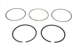 Piston Rings Sierra 18-3937. Fixed Price $80.15.