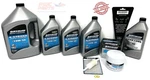 Mercury Quicksilver 150 Efi 4-STROKE Oil Change Maintenance Kit Fuel Filter Lube. Fixed Price $183.95.