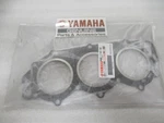G10 Genuine Yamaha 6H4-11181-A2 Cylinder Head Gasket Oem New Factory Boat Parts. Fixed Price $35.68.