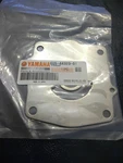 1984-2006 Yamaha 115-225HP Outboard Water Pump Plate 6G5-44323-01 Genuine Oem. Fixed Price $24.99.